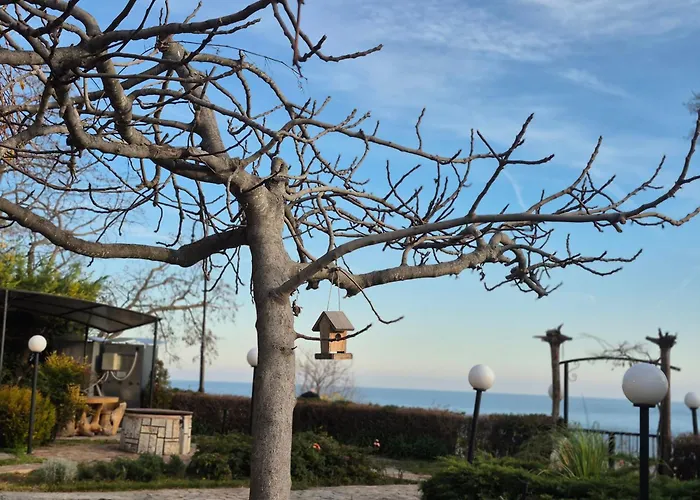 Complex Maxim - Sea View בית הארחה