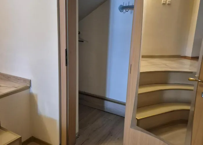 Complex Maxim - Sea View