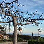 Complex Maxim - Sea View Guest house