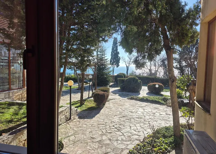 Complex Maxim - Sea View 招待所